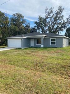 40 Maple Ln, Ocklawaha, FL, 32179