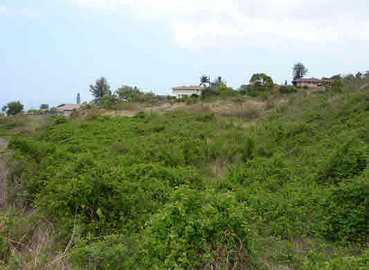 2nd image of 73-1185 Akaula St Lot 21