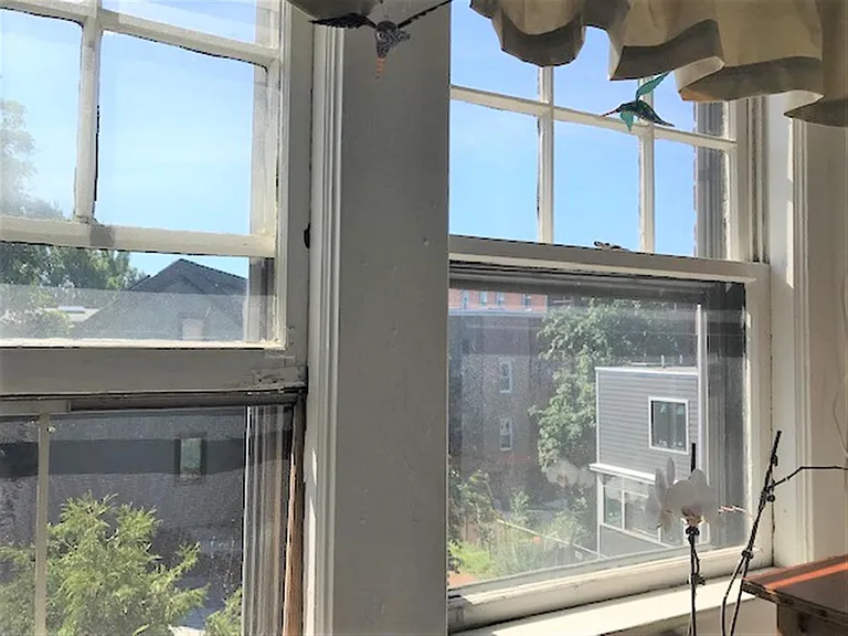 168 Norfolk St #5 — Photo 6