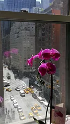 Rented by Barkin and Associates