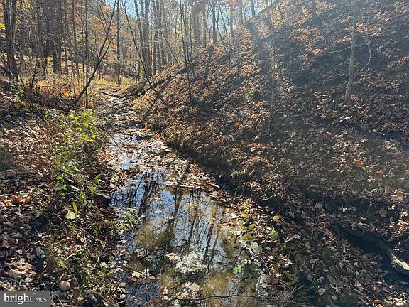 5th image of 81 Bluffs On The Potomac