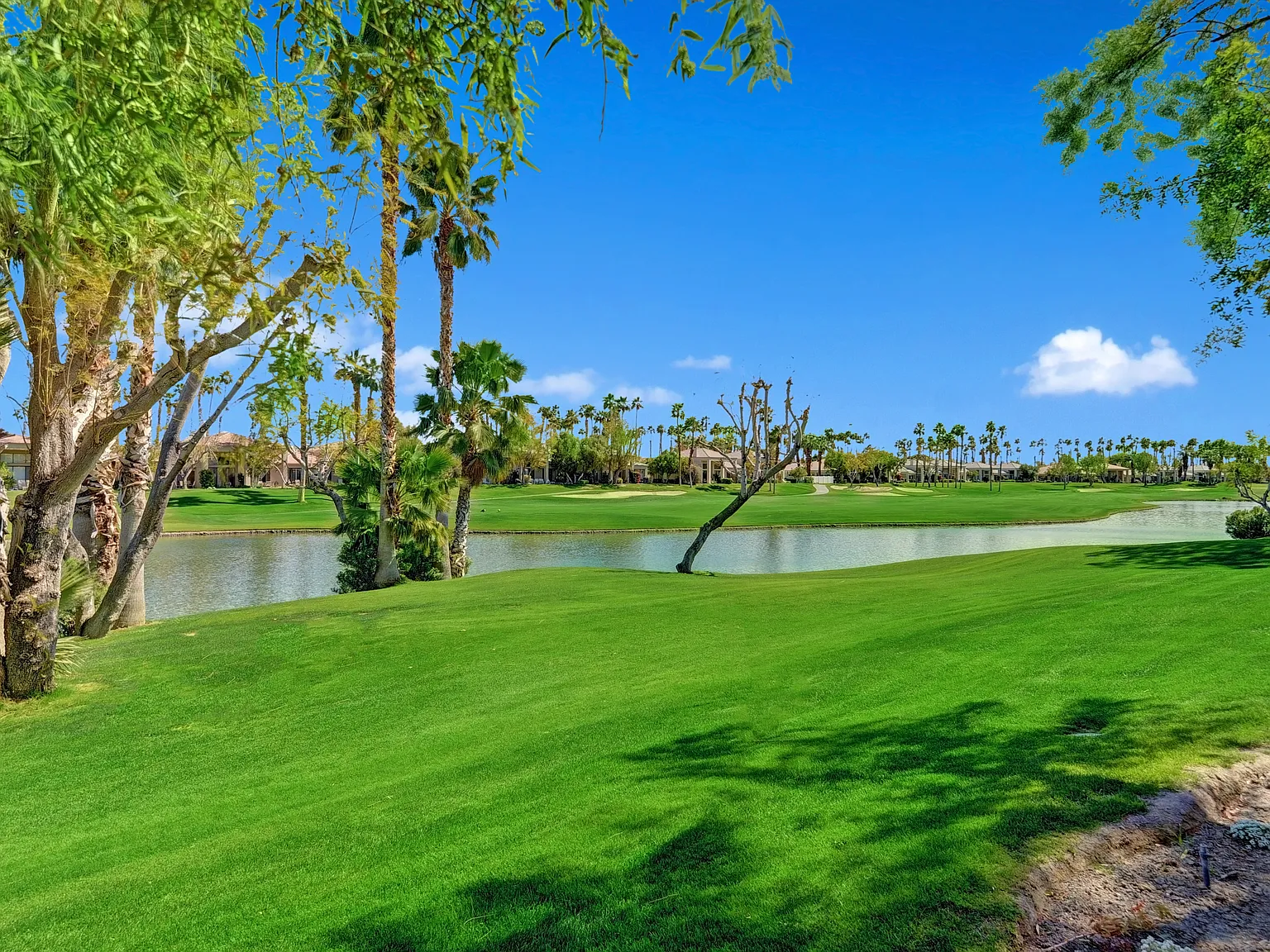 2 bed, 1549 sqft, $10,000 — Photo 1