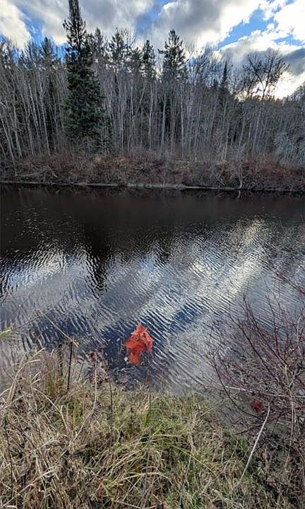1st image of LOT 4 Old Highway 17 Rd