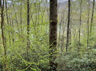 LOT 37 Nantahala Shrs, Topton, NC 28781