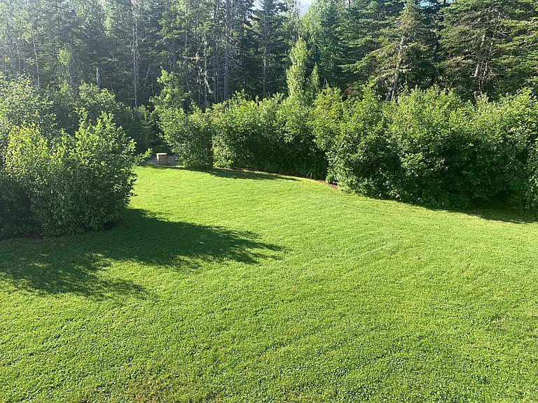 25 Noble Ct — Photo 31