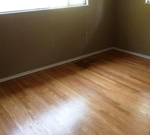3rd image of 8419 Norine Dr