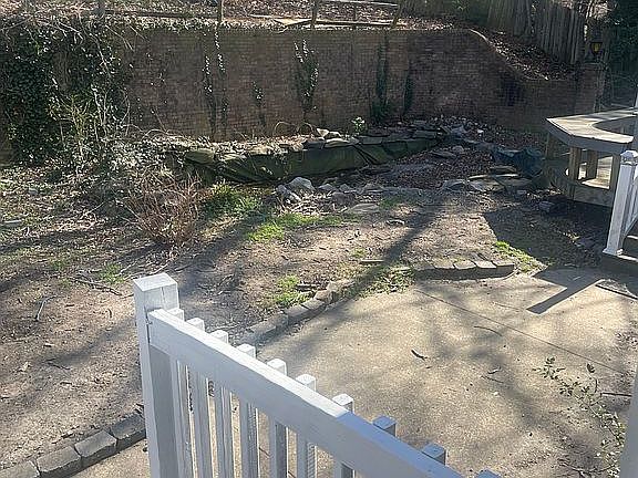 Backyard pond 