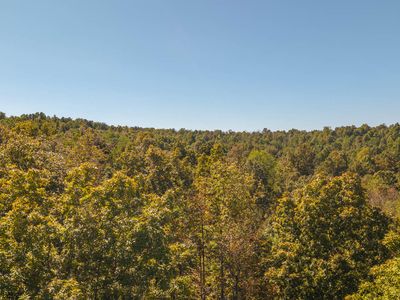 000 County Road 317, Thayer, MO, 65791