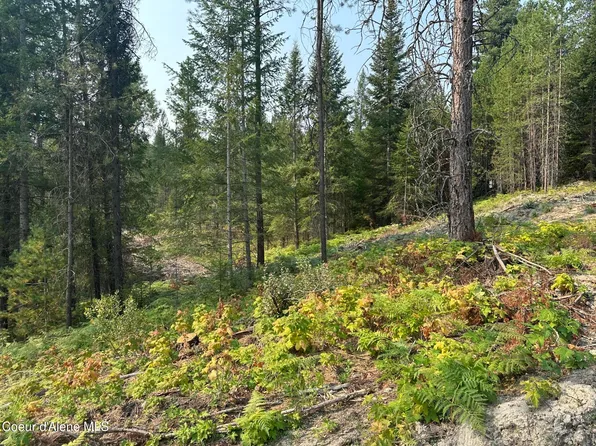 Nna Peninsula Loop Rd, Priest River, ID 83856