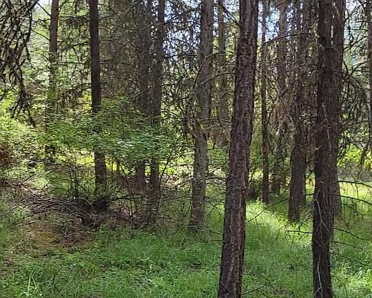 3rd image of Nhn High Country Rd