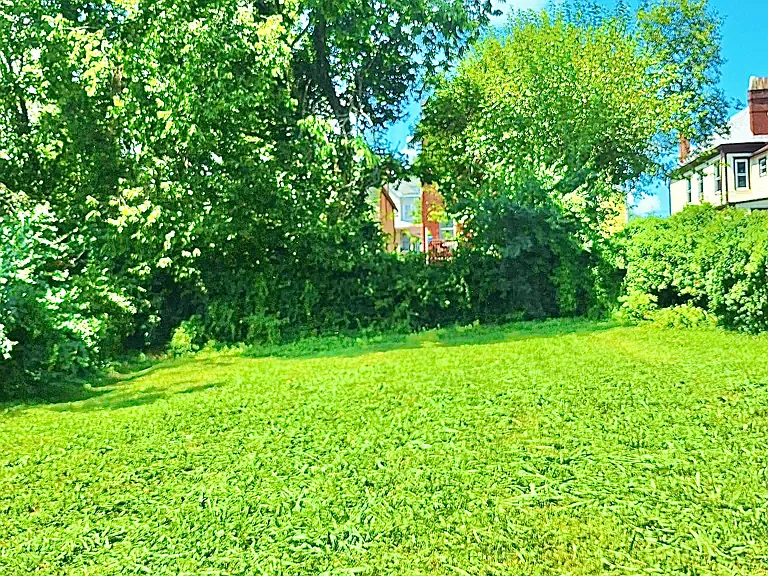 Beautiful yard, perfect for children or relaxing and enjoying nature