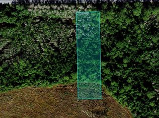 Deen Still Rd LOT B-5, Polk City, FL 33868