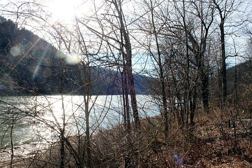 Allegheny River View