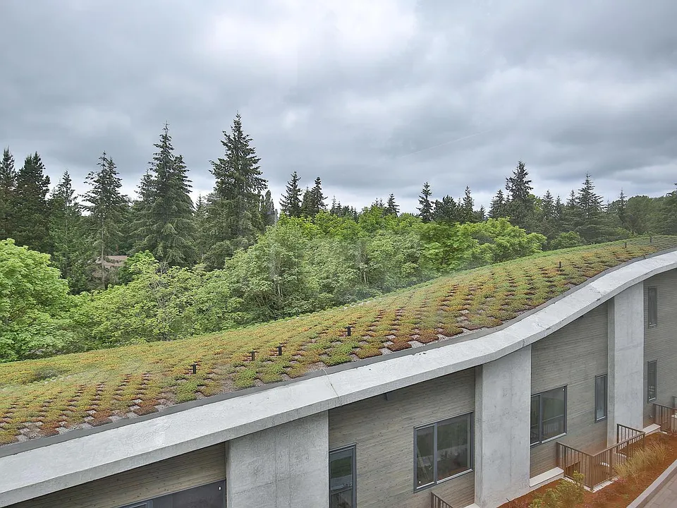 Energy-conserving green roof
