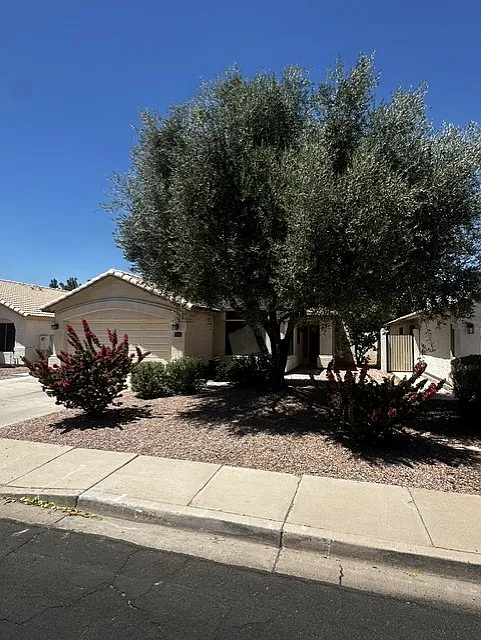 Front of house - 1094 W Laurel Ave