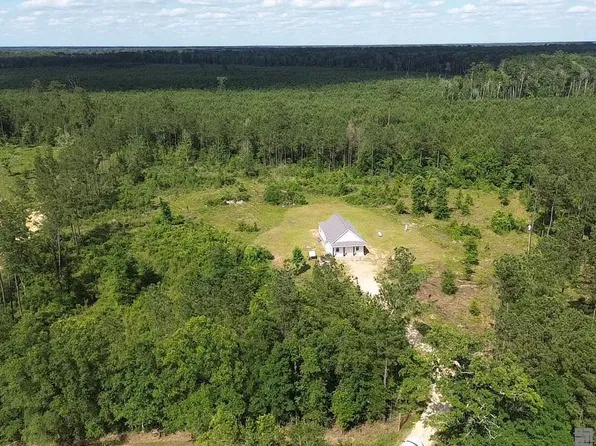 975 McLin Rd, Pine Grove, LA 70453