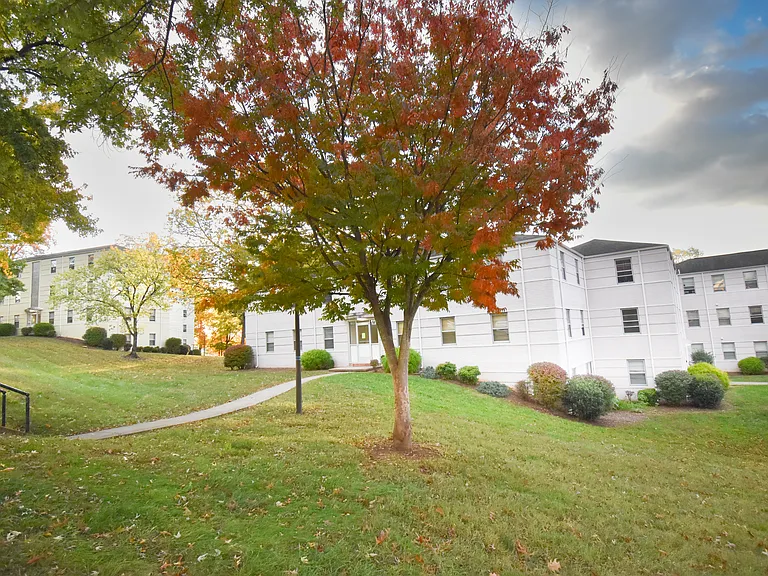 1516 Maiden Ln SW #13 — Photo 13