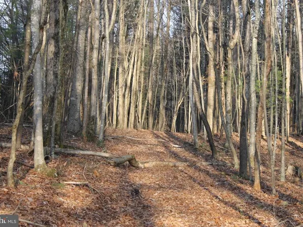 Loyds Ln, Culpeper, VA 22701