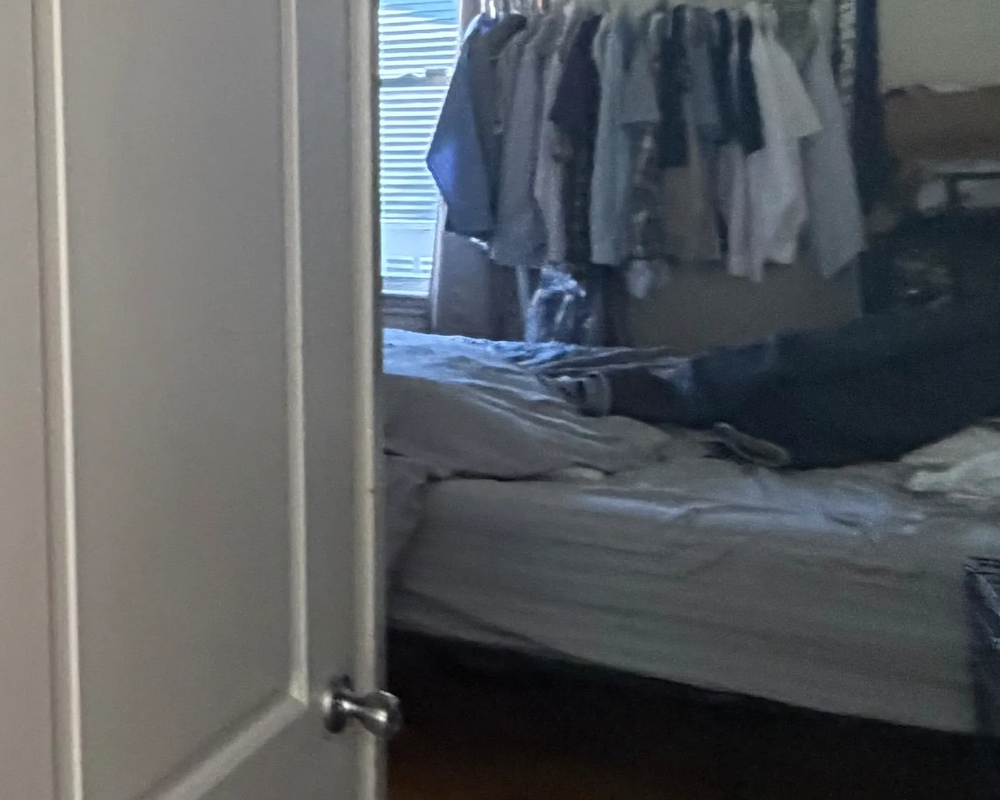 2 bed, 1000 sqft, $2,500 — Photo 3