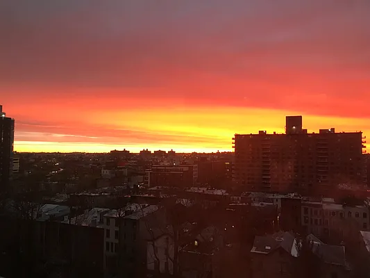 Sold by Douglas Elliman | media 21