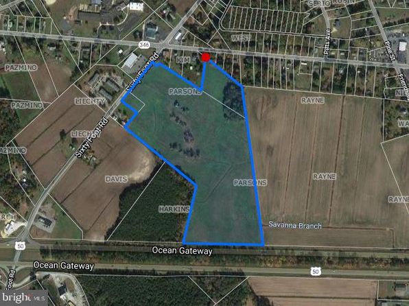 7235 Sixty Foot Rd, Pittsville, MD 21850