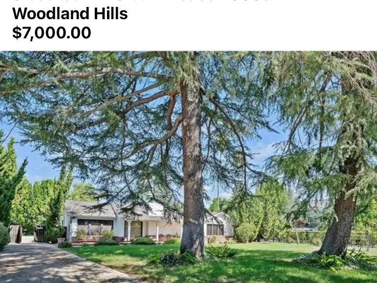 23003 Mariano St — Photo 4