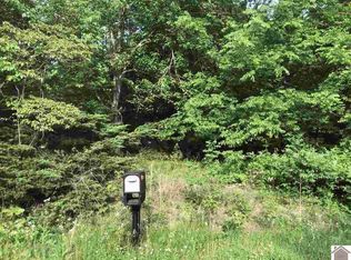 580 Pleasure Ridge Rd, Cadiz, KY 42211