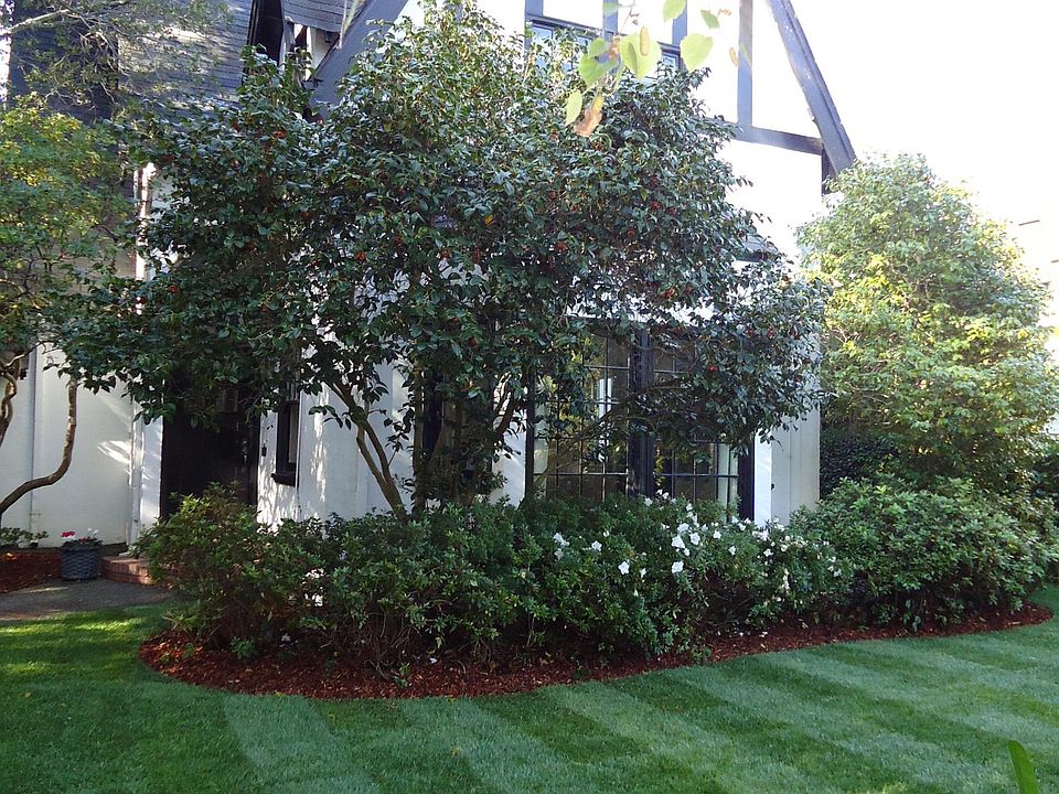Occidental Front Yard