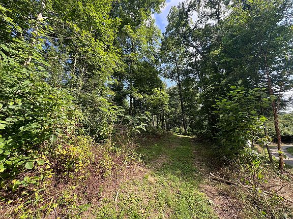 3rd image of 99999 Sharpes Woods Rd