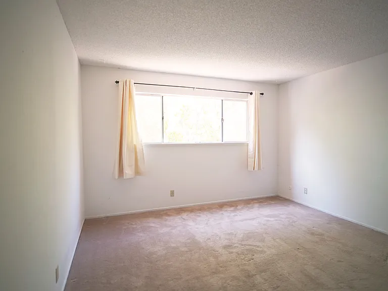 38663 Hastings St #4 — Photo 4