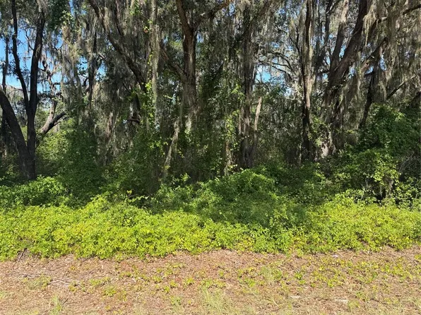 TBD GUAVA TERRACE LOT 14, OCKLAWAHA, FL 32179