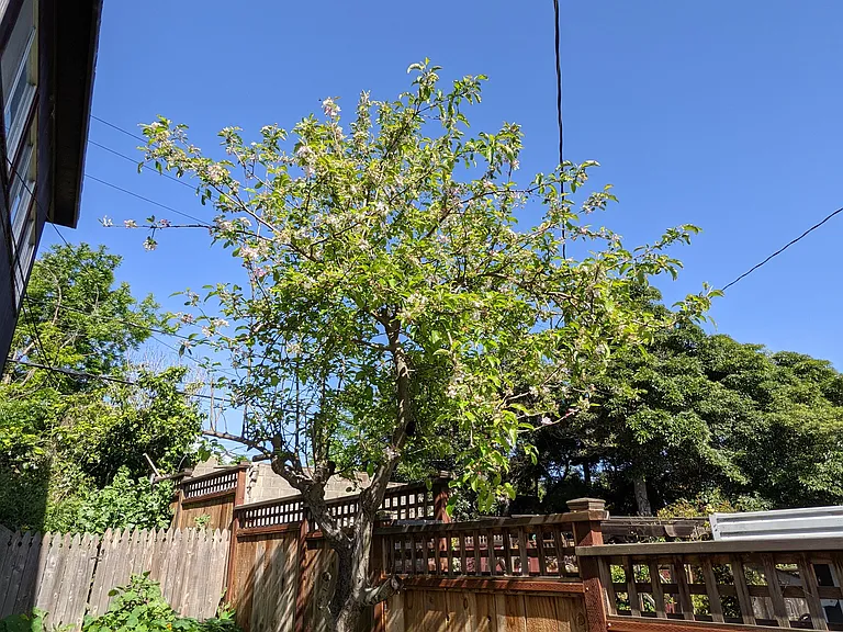 207 Benson Ave — Photo 17