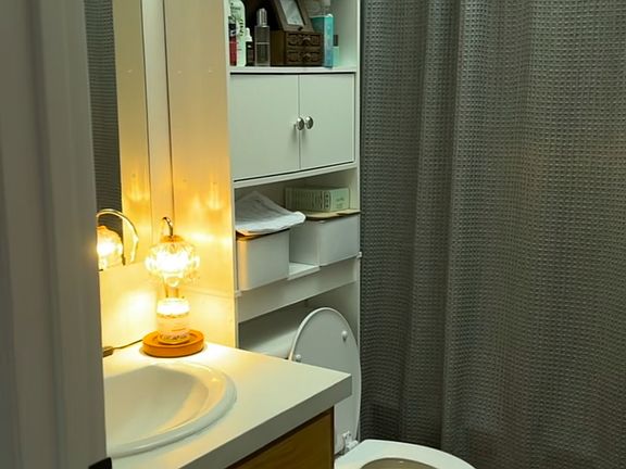 Master Bathroom (updated counter top, light fixtures, vanity)