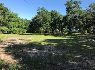 4020 Ace Coleman Ln, Mount Dora, FL 32757