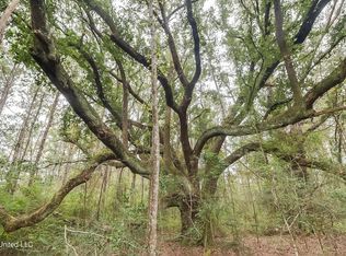 0 Broome School Rd, Perkinston, MS 39573