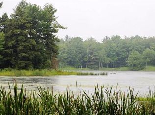 0 Blueberry Hill Rd, Middleburgh, NY 12122