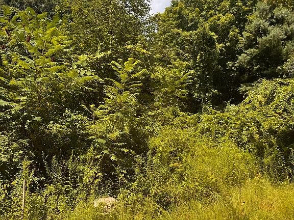 4th image of 264 Breen Rd