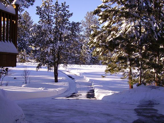 View of drive from garage