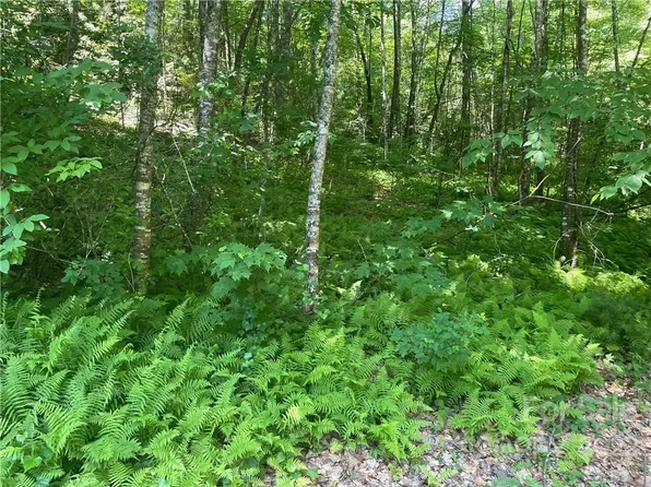 0 Trillium Ln #16, Rosman, NC 28772