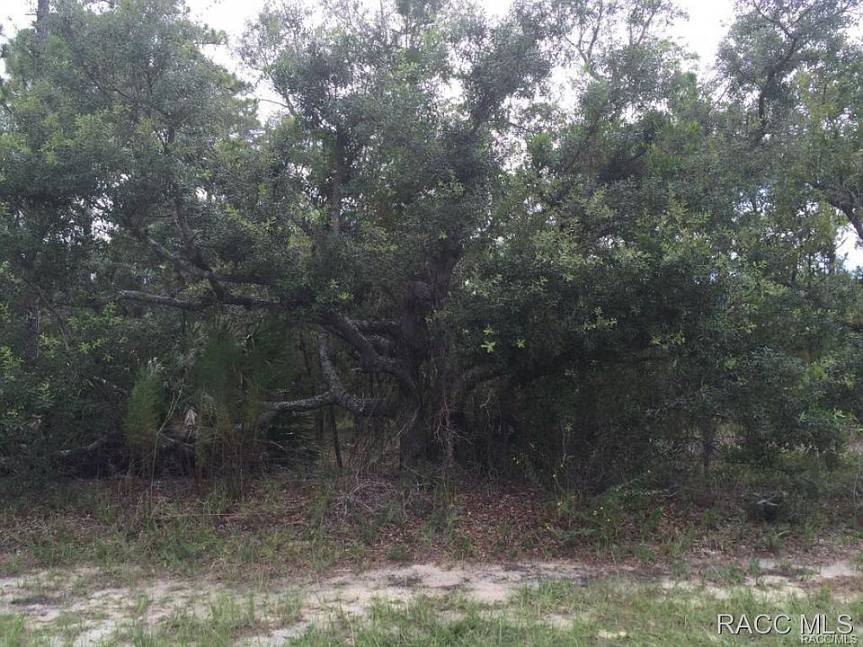 2nd image of 22 Hackberry Dr