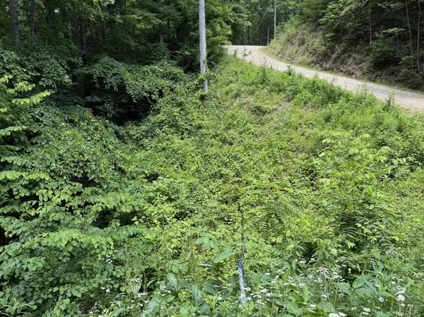 56 Butternut Ln Lot 56, Sevierville, TN 37876