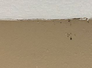 518 S Main St, Bluffton, OH 45817