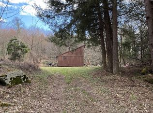 1189 Lower Dingle Hill Rd, Andes, NY 13731