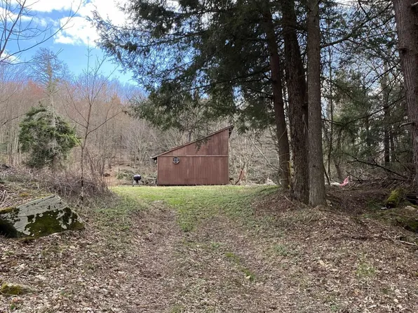 1189 Lower Dingle Hill, Andes, NY 13731