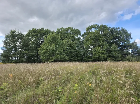 V/l S Barlow Rd, Harrisville, MI 48740