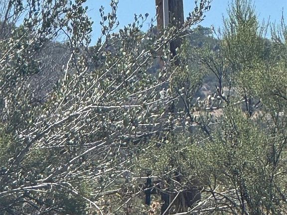 2nd image of 0 Upper Tule Rd Lot 3