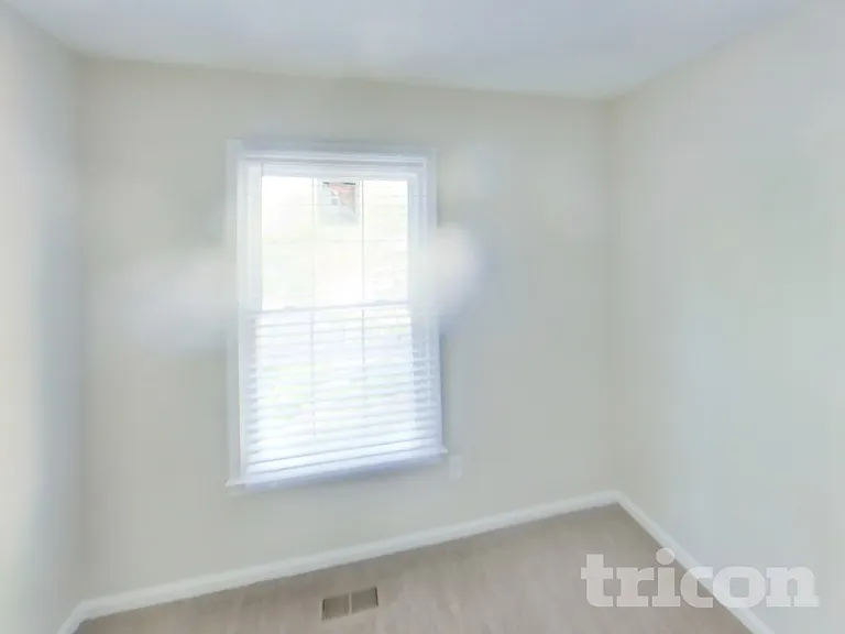 337 Wye Mill Ct — Photo 10
