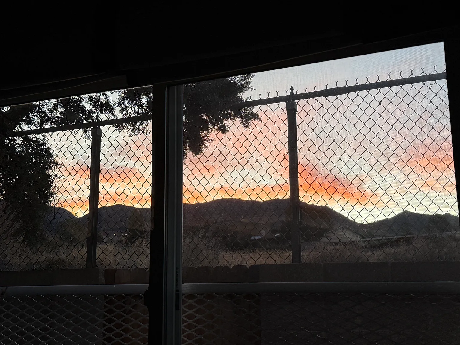 2 bed, 900 sqft, $1,650 — Photo 3