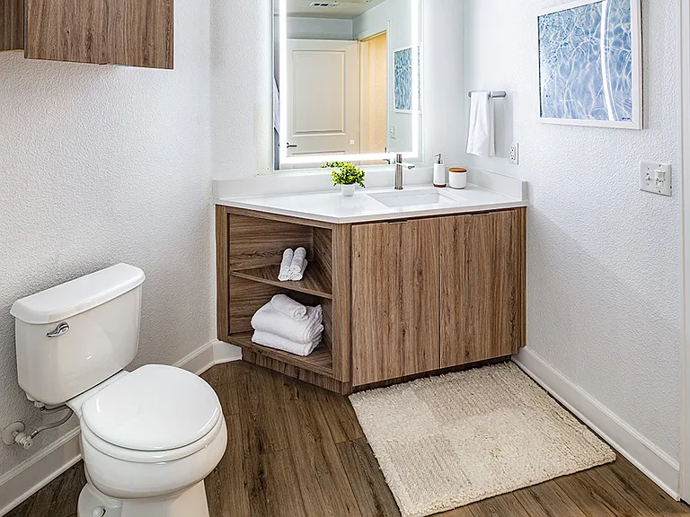 Apartment bathroom with wood-style flooring.