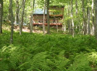 559 Hidden Cove Rd, Topton, NC 28781